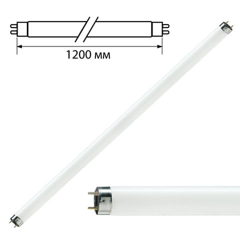 Лампа люминесцентная PHILIPS TL-D 36W/33-640, 36 Вт, цоколь G13, в виде тру