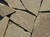 Песчаник камень желто-серый 2,5-3,5 см отборный #1