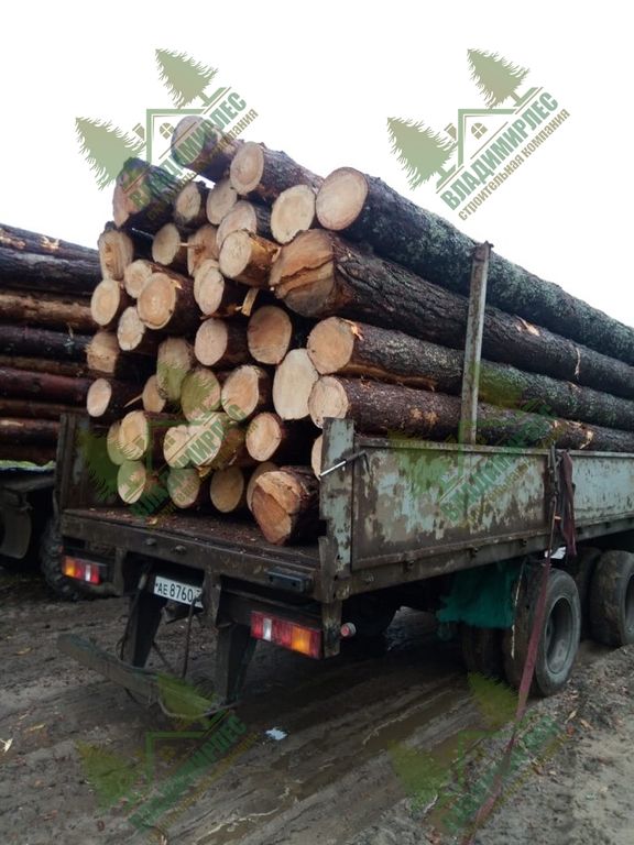 Экспорт круглого леса в Китай сократился почти на 30%