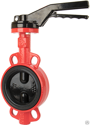 Затвор дисковый поворотный чугунный Rushwork D 80 PN16 GG25 CF8, цена в ...