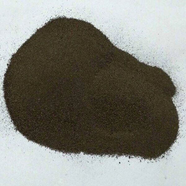 Пошта арқылы үлкен мүшесі бар транссексуалдар